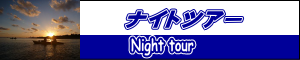 Night tour